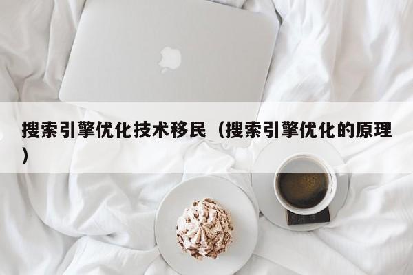 搜索引擎优化技术移民（搜索引擎优化的原理）