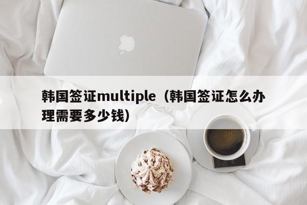 韩国签证multiple（韩国签证怎么办理需要多少钱）