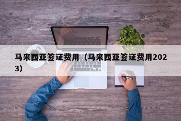马来西亚签证费用（马来西亚签证费用2023）
