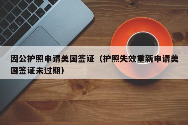 因公护照申请美国签证（护照失效重新申请美国签证未过期）