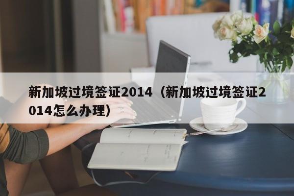 新加坡过境签证2014（新加坡过境签证2014怎么办理）