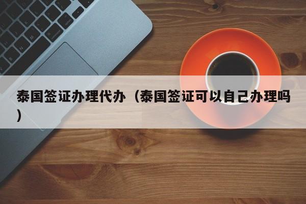 泰国签证办理代办（泰国签证可以自己办理吗）