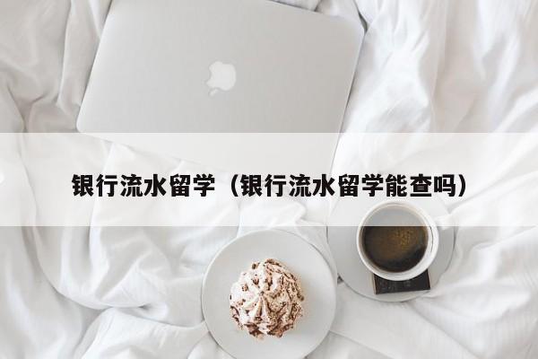 银行流水留学（银行流水留学能查吗）