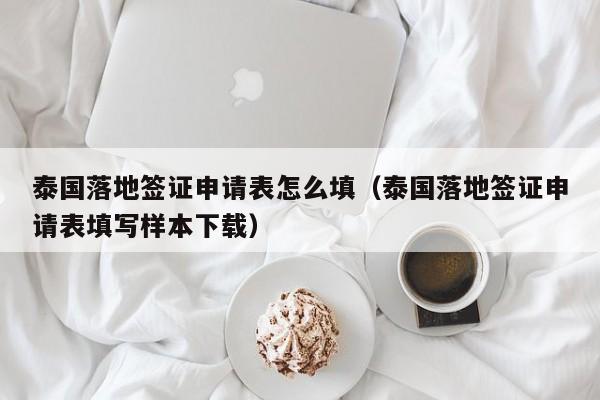 泰国落地签证申请表怎么填（泰国落地签证申请表填写样本下载）