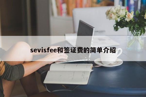 sevisfee和签证费的简单介绍