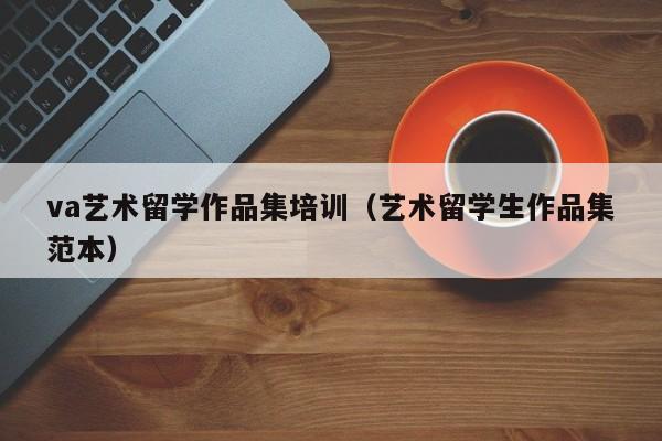 va艺术留学作品集培训（艺术留学生作品集范本）
