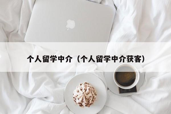 个人留学中介（个人留学中介获客）