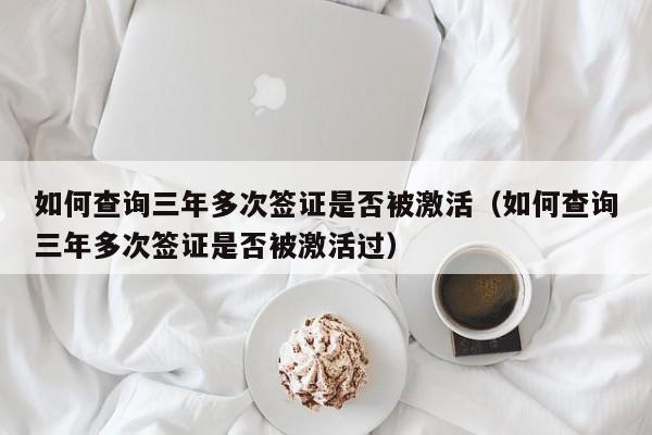 如何查询三年多次签证是否被激活（如何查询三年多次签证是否被激活过）