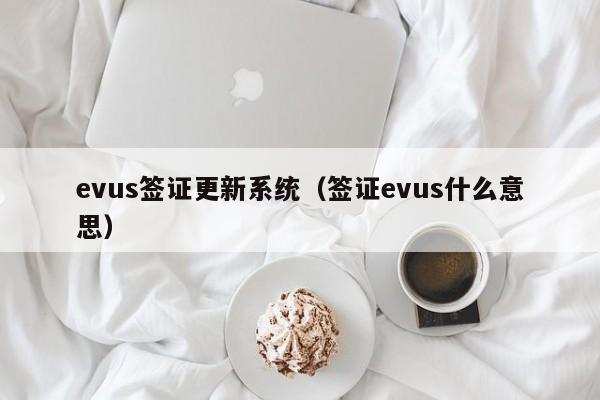 evus签证更新系统（签证evus什么意思）