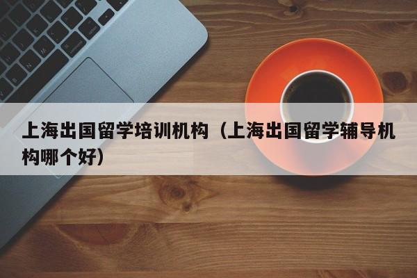上海出国留学培训机构（上海出国留学辅导机构哪个好）
