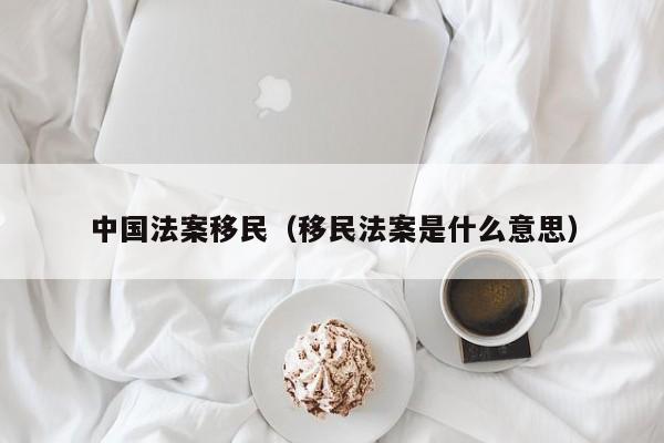 中国法案移民（移民法案是什么意思）