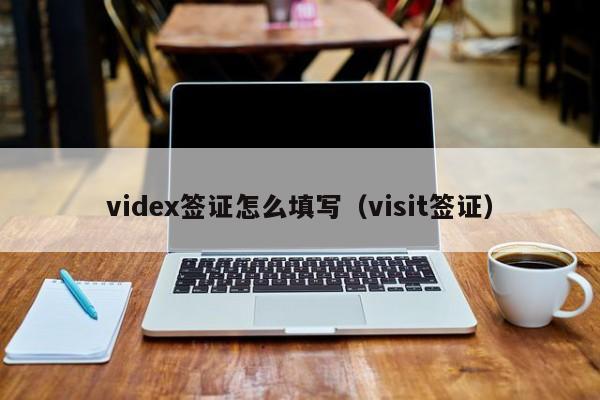 videx签证怎么填写（visit签证）
