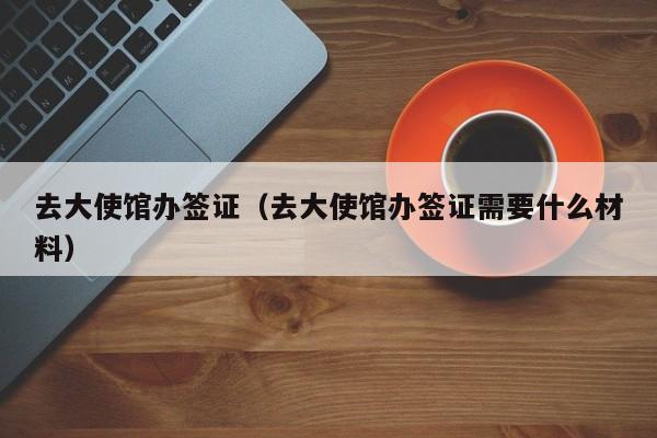 去大使馆办签证（去大使馆办签证需要什么材料）