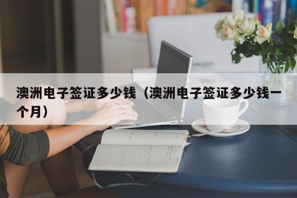 澳洲电子签证多少钱（澳洲电子签证多少钱一个月）
