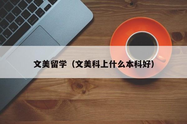 文美留学（文美科上什么本科好）