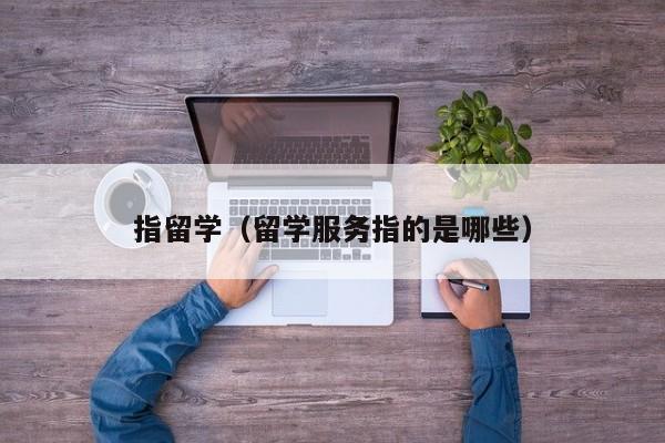 指留学（留学服务指的是哪些）