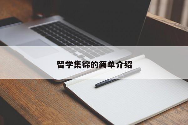留学集锦的简单介绍