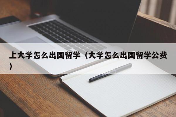 上大学怎么出国留学（大学怎么出国留学公费）