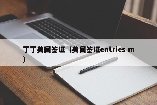 丁丁美国签证（美国签证entries m）