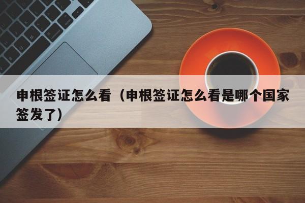 申根签证怎么看（申根签证怎么看是哪个国家签发了）