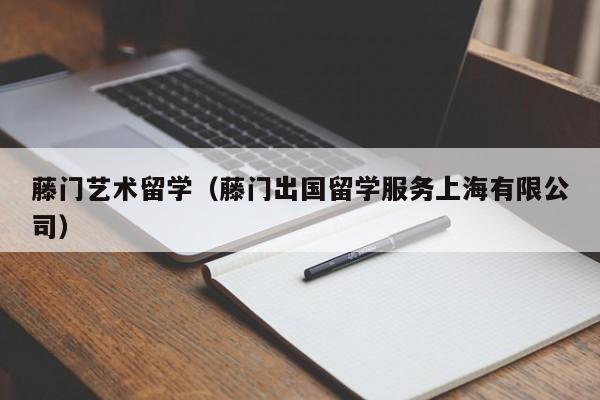 藤门艺术留学（藤门出国留学服务上海有限公司）