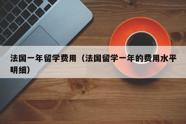 法国一年留学费用（法国留学一年的费用水平明细）