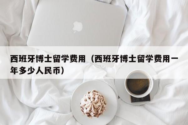 西班牙博士留学费用（西班牙博士留学费用一年多少人民币）