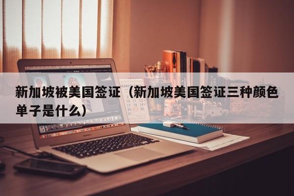 新加坡被美国签证（新加坡美国签证三种颜色单子是什么）