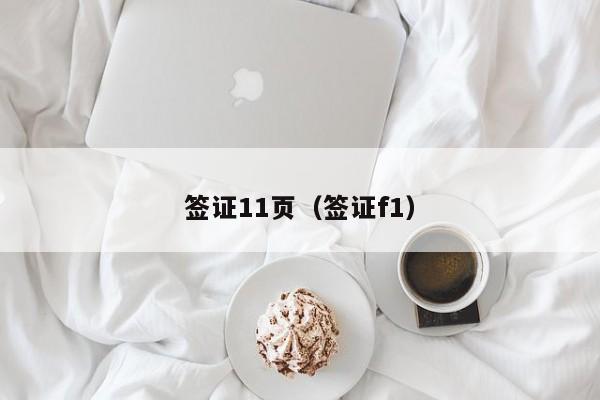签证11页（签证f1）