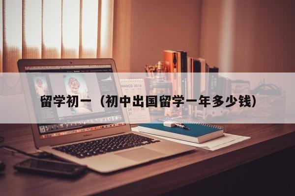 留学初一（初中出国留学一年多少钱）