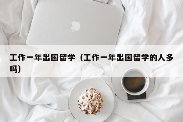 工作一年出国留学（工作一年出国留学的人多吗）