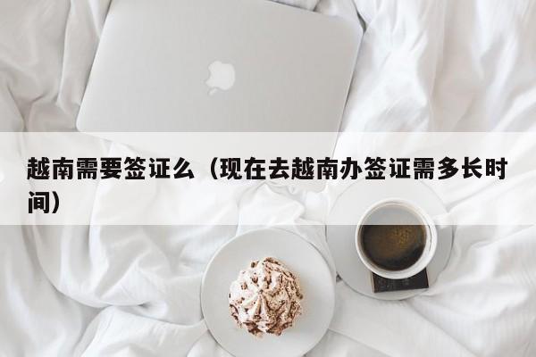越南需要签证么（现在去越南办签证需多长时间）