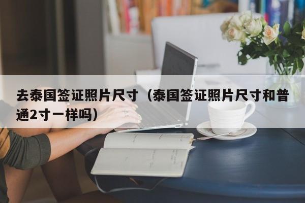 去泰国签证照片尺寸（泰国签证照片尺寸和普通2寸一样吗）
