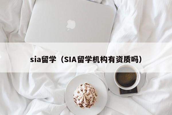 sia留学（SIA留学机构有资质吗）