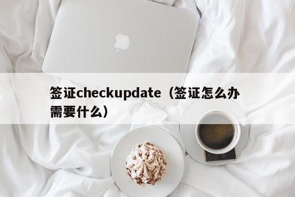签证checkupdate（签证怎么办 需要什么）