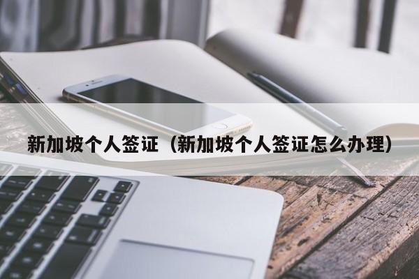 新加坡个人签证（新加坡个人签证怎么办理）
