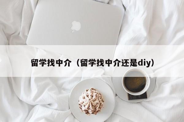 留学找中介（留学找中介还是diy）