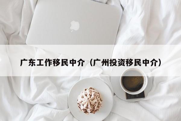 广东工作移民中介（广州投资移民中介）