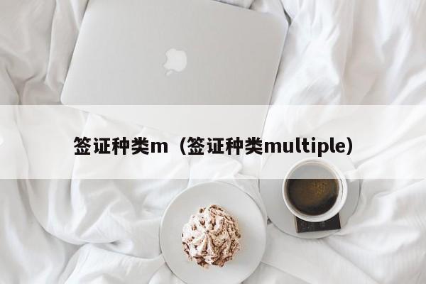 签证种类m（签证种类multiple）