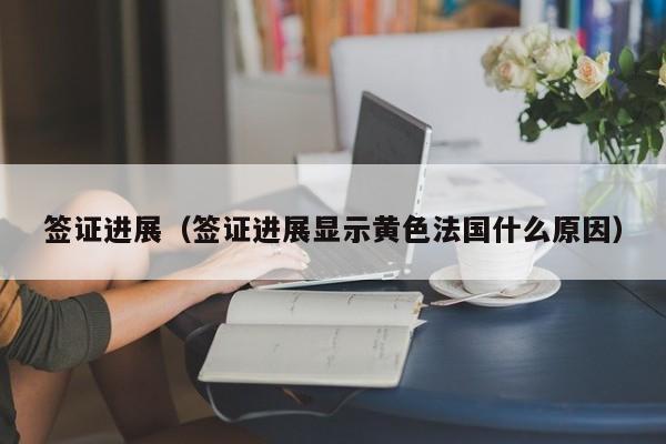 签证进展（签证进展显示黄色法国什么原因）
