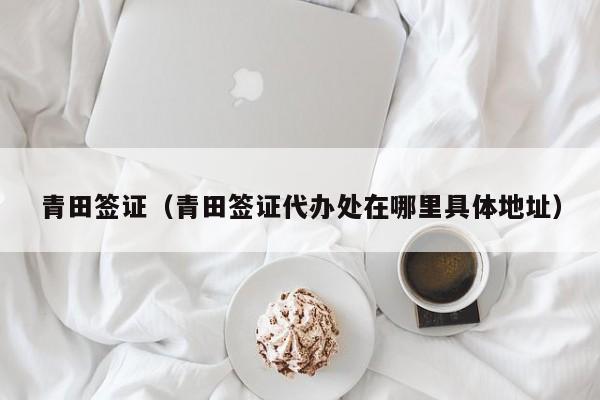 青田签证（青田签证代办处在哪里具体地址）