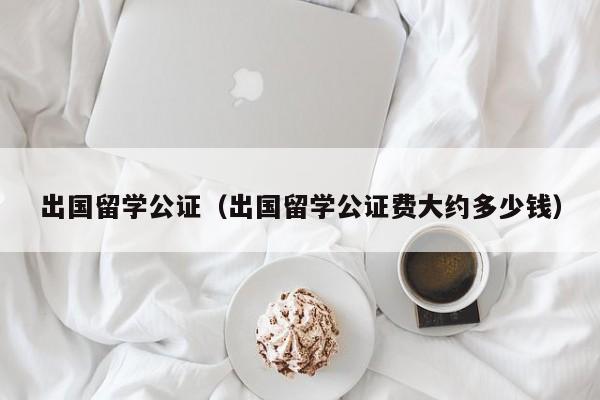出国留学公证（出国留学公证费大约多少钱）