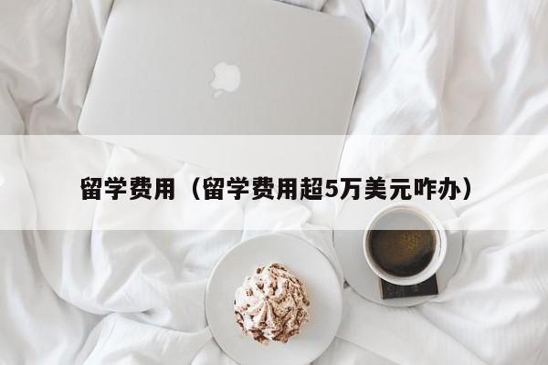留学费用（留学费用超5万美元咋办）