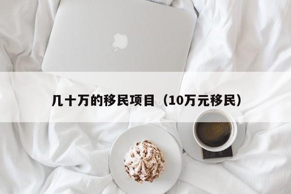 几十万的移民项目（10万元移民）
