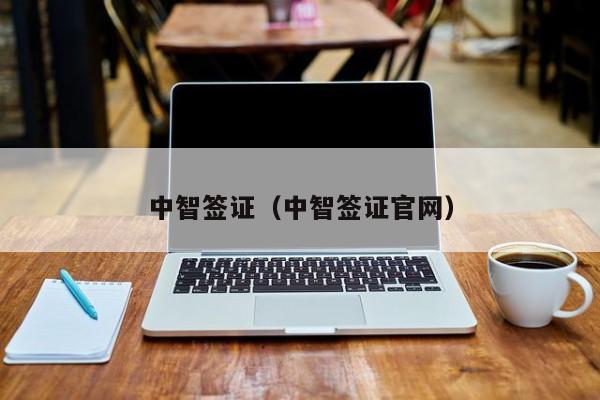 中智签证（中智签证官网）