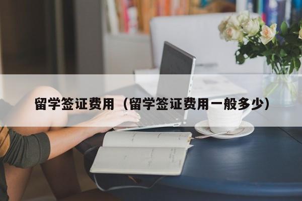 留学签证费用（留学签证费用一般多少）