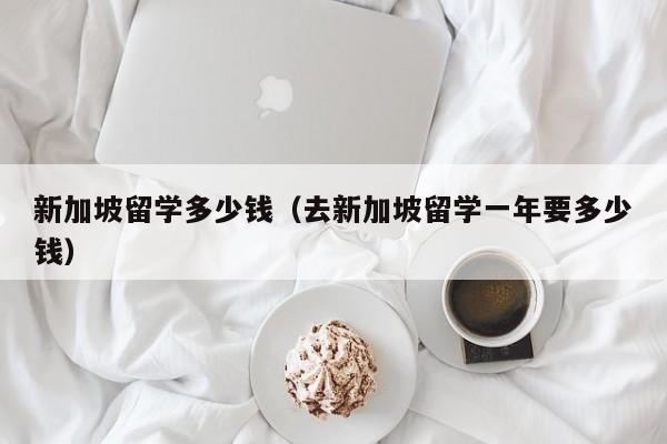 新加坡留学多少钱（去新加坡留学一年要多少钱）