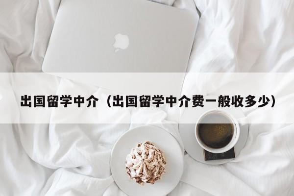 出国留学中介（出国留学中介费一般收多少）