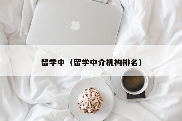 留学中（留学中介机构排名）
