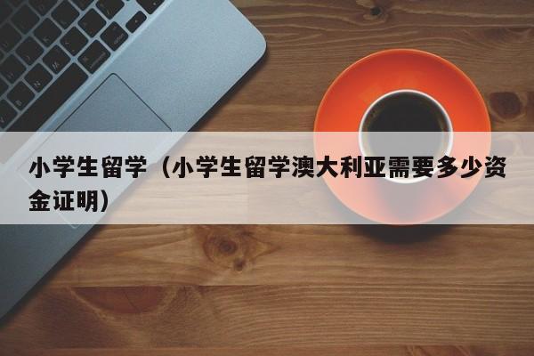 小学生留学（小学生留学澳大利亚需要多少资金证明）